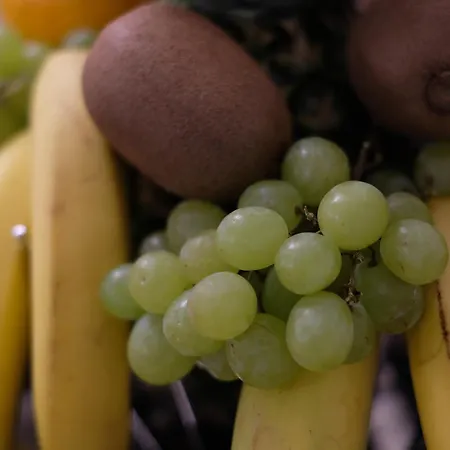 Lenotti Πανσιόν Βερόνα