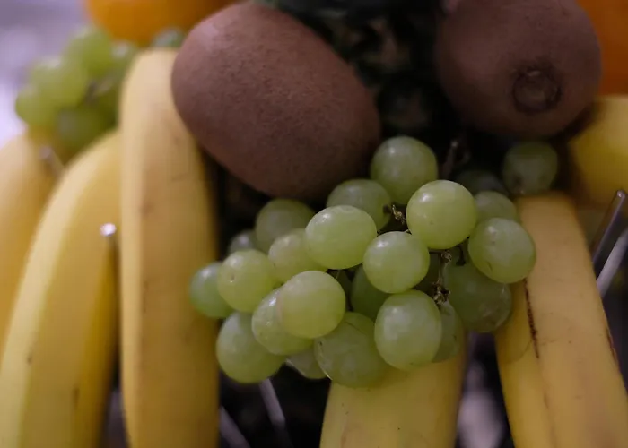 Lenotti Πανσιόν Βερόνα