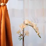 Lenotti